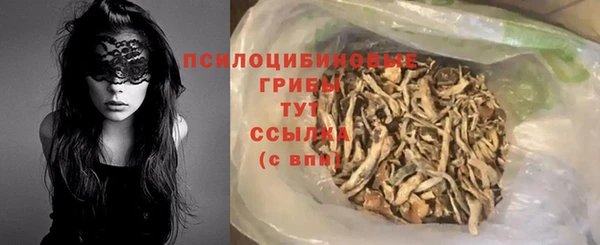 PSILOCYBIN Богородицк